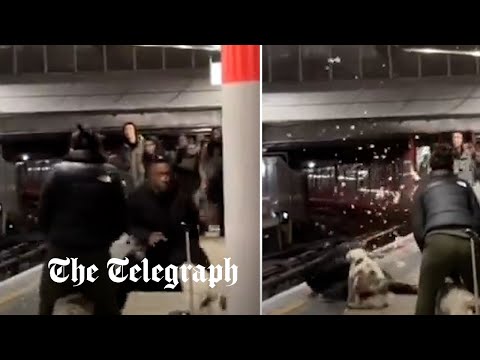 Moment man is attacked by 'XL Bully' on station platform