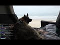 2025 11 30 TAKING MY DOG TO SEE THE OCEAN AND FISH