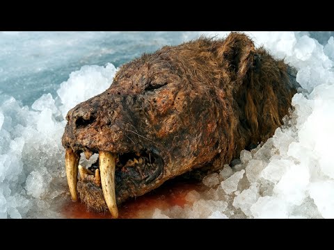10 EXTINCT ANIMALS THAT SCIENTISTS WANT TO REVIVE