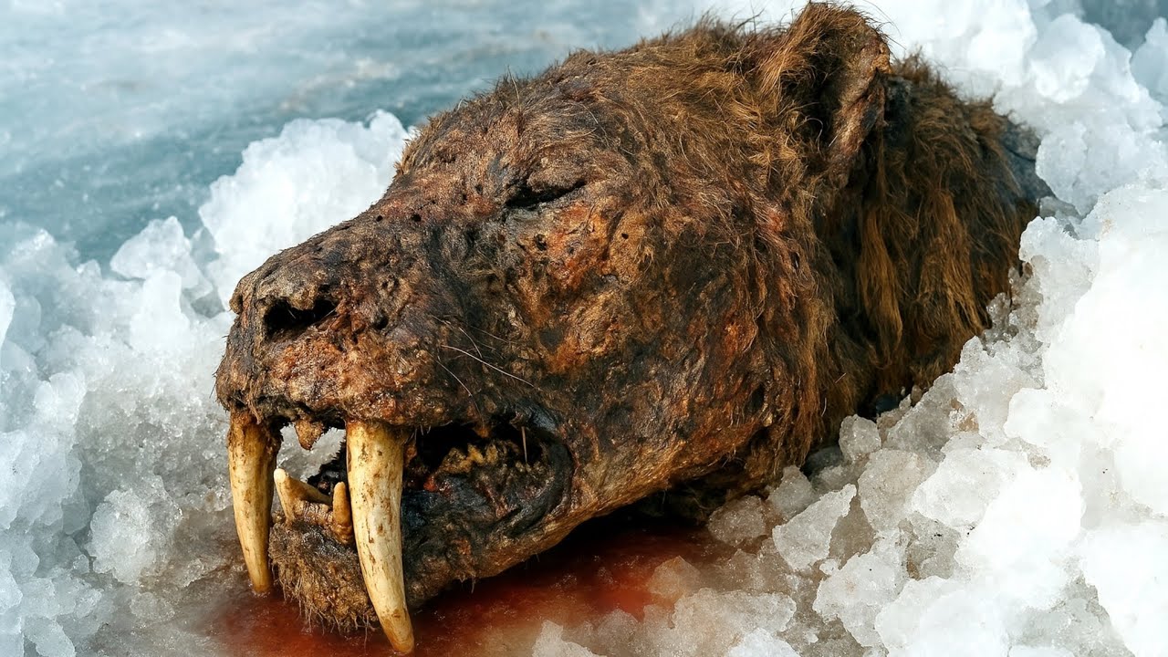 10 EXTINCT ANIMALS THAT SCIENTISTS WANT TO REVIVE