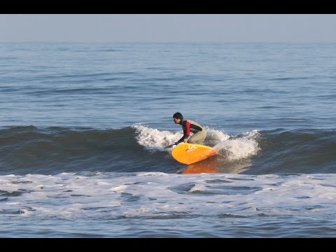 Fanatic Stubby 8`2 LTD