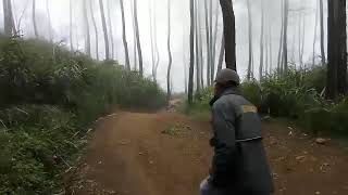 Download lagu Dj. Ada yang tau bahasa orang gila mp3 Download lagu Dj. Ada yang tau bahasa orang gila mp3