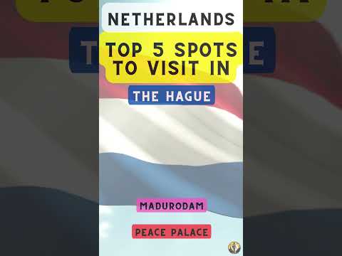 Top 5 Spots to Visit in The Hague (Netherlands)