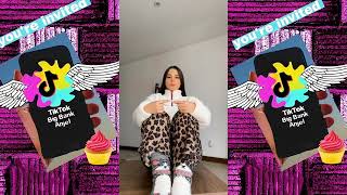 I Survived The TikTok Big Bank Challenge