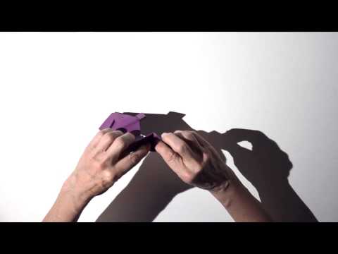 ALTERnative Frauenbilder - Vielfalten: Elefant