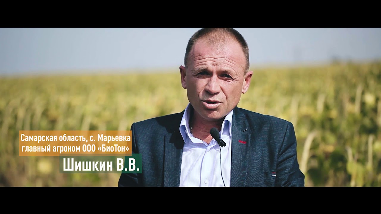 Семена подсолнечника ЕС Белла