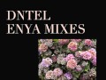 Dntel - Boadicea (Enya Mixes)