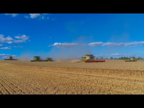 Ernteeskalation / John Deere X9 & 3 Claas Lexion 8900 [4K]