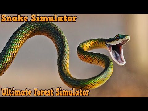 Snake Simulator--Ultimate Forest Simulator-By Gluten Free Games - iOS/Android - YouTube