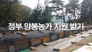 양봉농가의 정부 지원에 대한 안내입니다. #양봉 #꿀벌