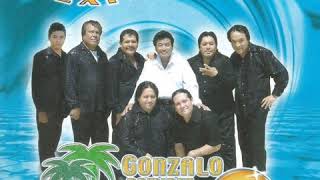 Un Sueño De Tantos - Gonzalo Ramirez Y Su Caribe - 20 Grandes Éxitos