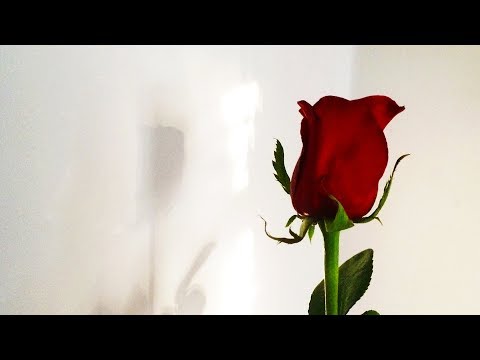 XAM - LESS THAN THREE ft. Lil Happy Lil Sad (Official Audio)