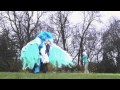 City boy - Donkeyboy (Invert/Normal Colours) [HD ...