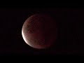 Nov. 19 2021 Lunar Eclipse (Under the Milky Way by Starflyer 59)