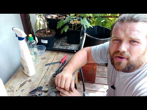 Jak naostrzyć sekator lub nożyce...