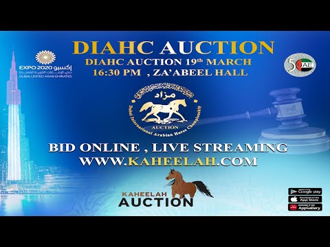 DIAHC Auction 2022