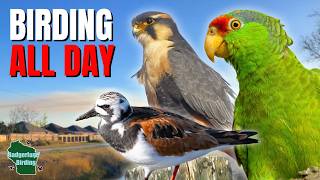 South Texas Birding Blew Us Away! (Full Day Adventure)