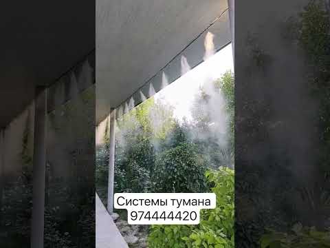 Системы тумана микроклимат Ташкент 974444420 #tuman #ташкент #туман #микроклимат #тренд #rek #love