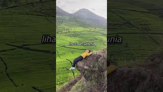 Download lagu Letto - Sebenarnya Cinta   Lirik | Short mp3 Download lagu Letto - Sebenarnya Cinta   Lirik | Short mp3