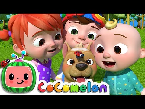 Where Has My Little Dog Gone? | CoComelon Nursery Rhymes & Kids Songs