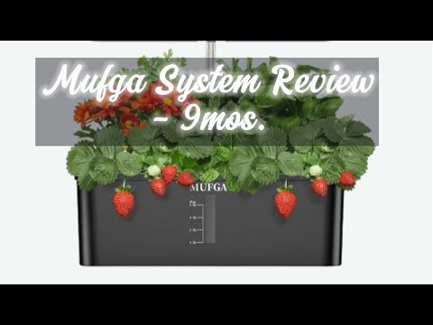 MUFGA System Review: 9 Mos.