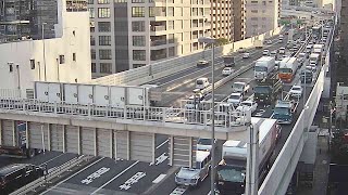 [爆卦] 日本東京現在的人潮和車潮都湧現!