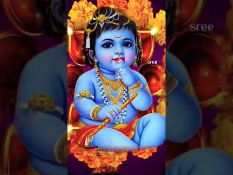 Hu Taro Lalo Maya || #shortvideo #youtubeshorts #diy