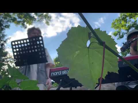 Soulkväll med Paul Mac Innes & Markus Zovic