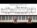 Beethoven Piano Sonata Op. 2, No. 3, 3rd mvt (Scherzo Trio)  Piano Tutorial