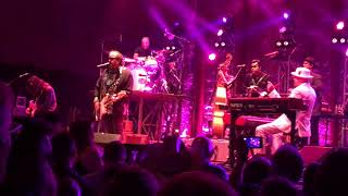 The Mavericks, &quot;Damned If You Do&quot;