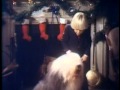 Kodak Christmas 1977 TV Commercial