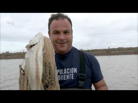EL CHEF DEL MAR: DOÑANA | DOCUMENTAL | PROGRAMAS DE COCINA DE LA 2 TVE