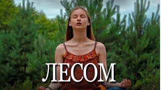 Лесом. Фильм 2017