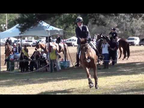 Kim Severson & Hope Cove 2014 Red Hills International Horse Trials