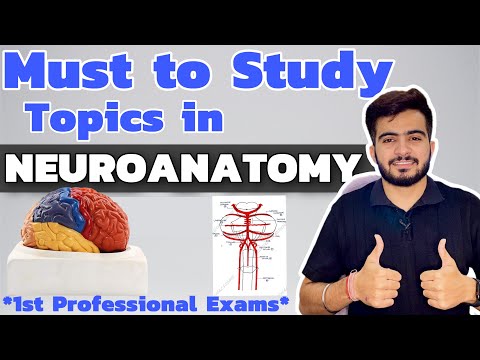 Must to Study topics in Neuroanatomy | 1st Year Professional Exams
