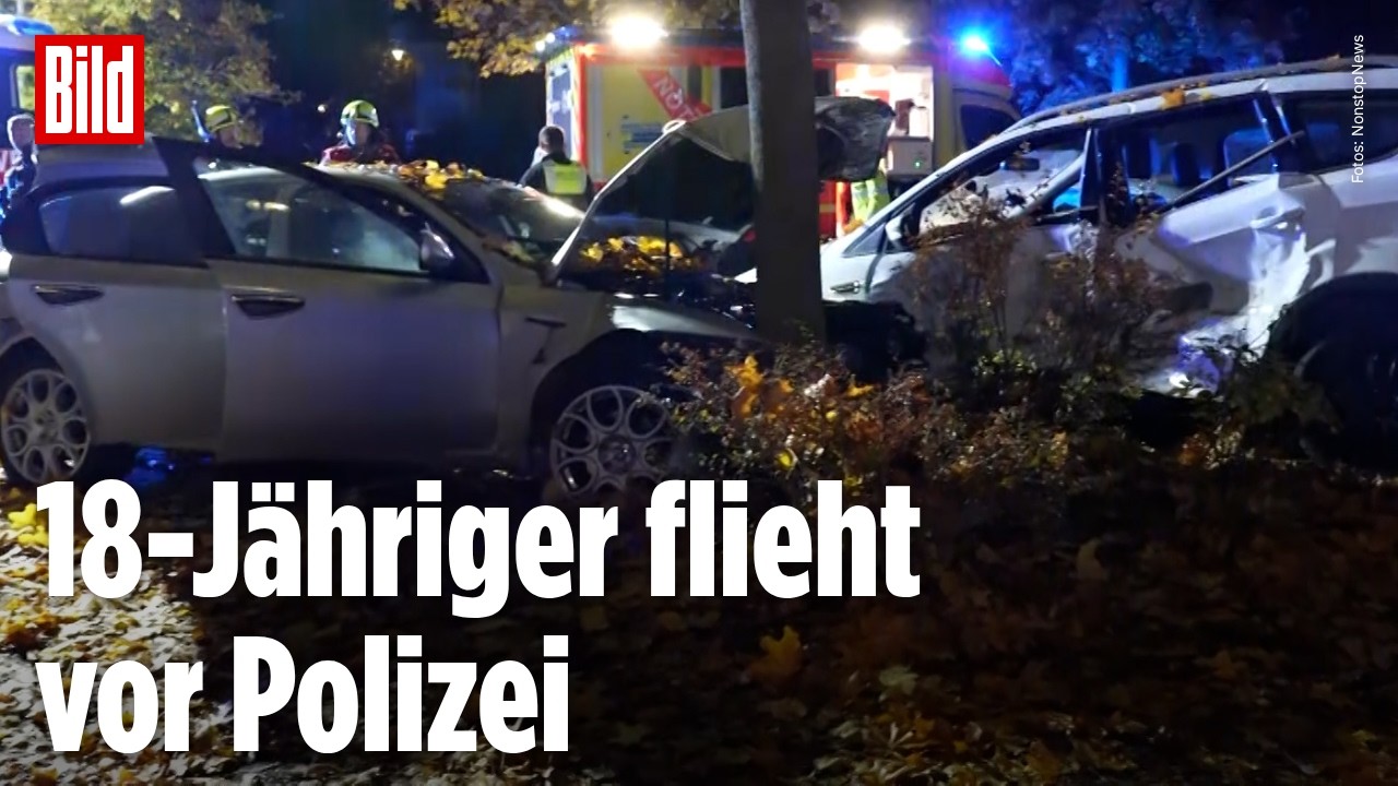 BRANDENBURG: 18-Jähriger flieht vor Polizei und kracht gegen Baum!