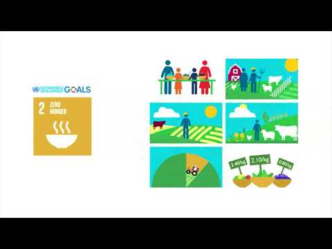 Investing in measuring progress towards the SDGs