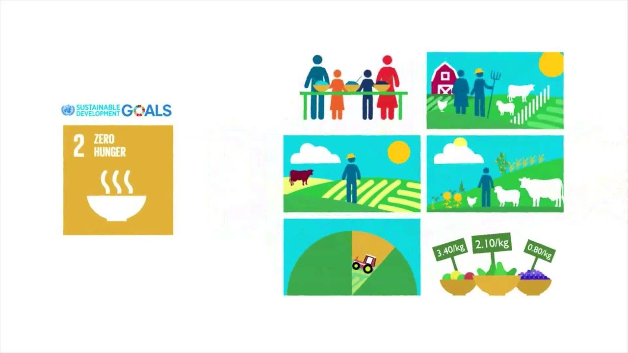 Investing in measuring progress towards the SDGs