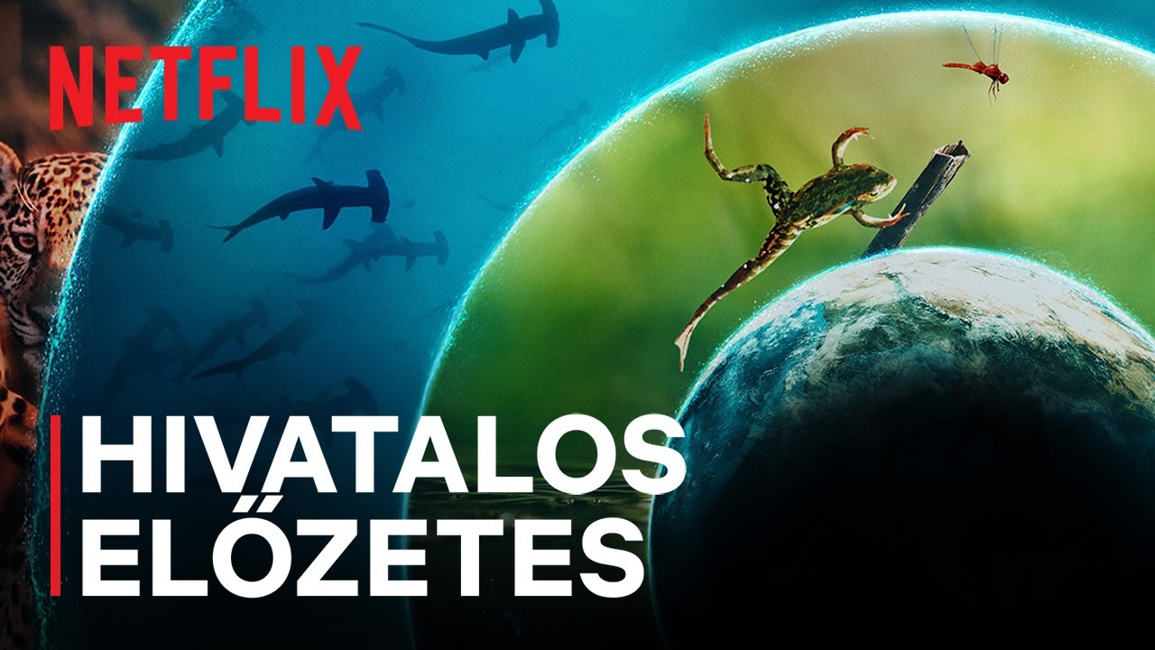 Hivatalos előzetes [Feliratos]