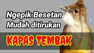 Download lagu MASTERAN KAPAS TEMBAK GACOR Pilihan Juri Dalam Penilaian mp3 Download lagu MASTERAN KAPAS TEMBAK GACOR Pilihan Juri Dalam Penilaian mp3