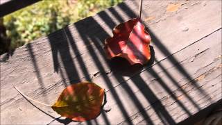 Bill Evans: B Minor Waltz (For Ellaine)