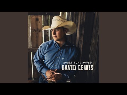 Let The Music Do The Talkin - David Lewis
