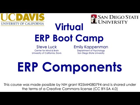 ERP Components 4-  Attention