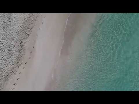 Videos del Iberostar Selection Albufera Playa 4★ en Playa de Muro, EspañaVer MásVerPrecios16CerrarConsulta por Whatsapp 🇦🇷BookingTripadvisorExpediaAgodaTravelocityOrbitzPricelineTripSkyscannerDespegarKayakHotelesDestiniaTrivagoLastminuteTui