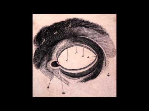 Free The Robots - The Free (2011)