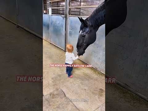 The Sweetest Moment Between a Child and a Horse