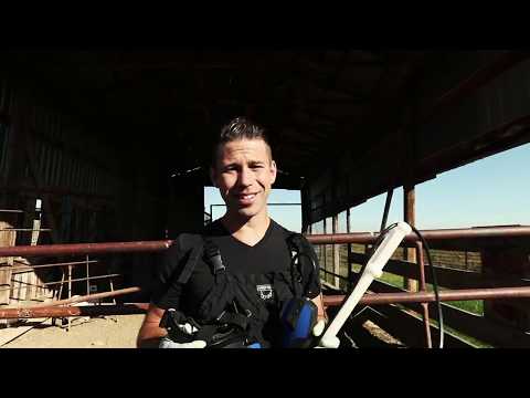 Сканер для коров Easi Scan Go  от МилкФарм