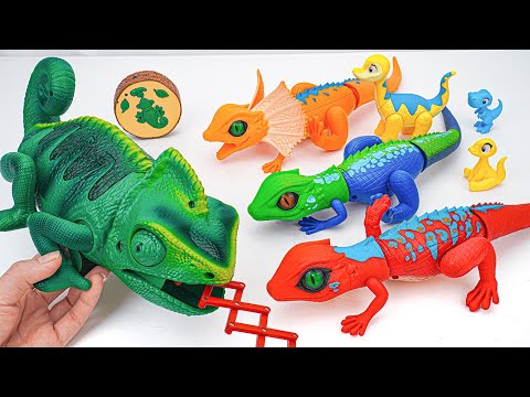 [😽toy asmr😽] ZURU Robo Alive Lizard Series 2 & RC Chameleon Animal Toys ASMR 🦎 No talking🔇