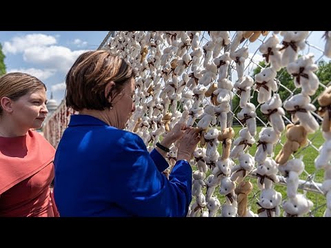 Video Thumbnail: 20,000 teddy bears in Washington highlight abducted Ukrainian children