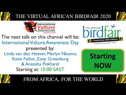 International Vulture Awareness Day Event